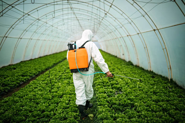 Best Commercial Pest Control Services  in Rancho Cumonga, CA