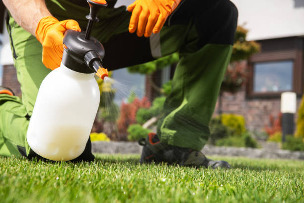 Best Emergency Pest Control  in Rancho Cumonga, CA