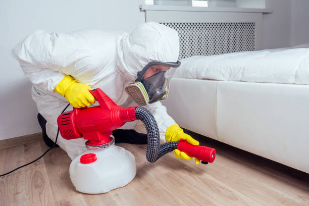 Best Exterminator Services  in Rancho Cumonga, CA
