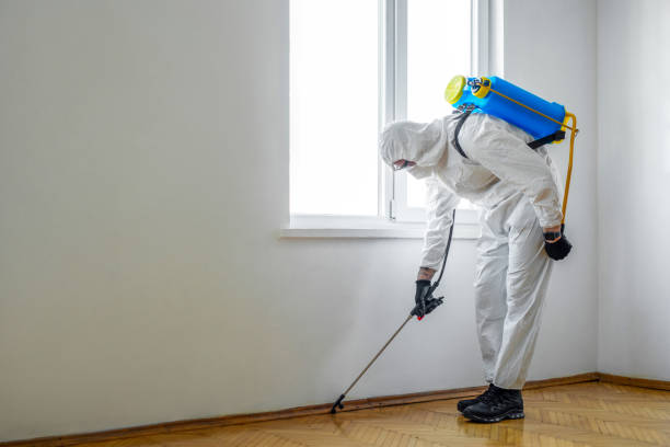 Best Pest Control Near Me  in Rancho Cumonga, CA