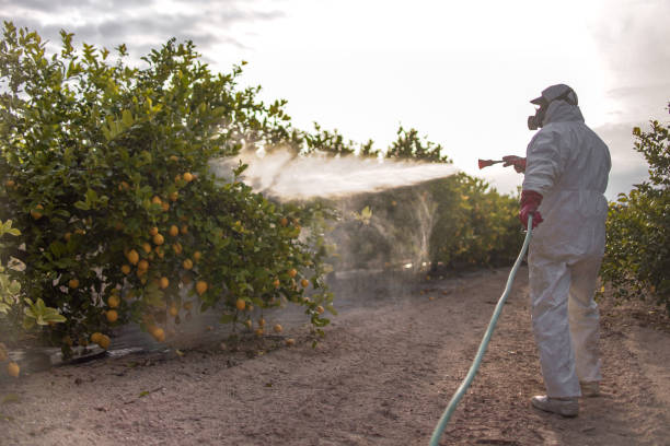 Best Pest Prevention Services  in Rancho Cumonga, CA