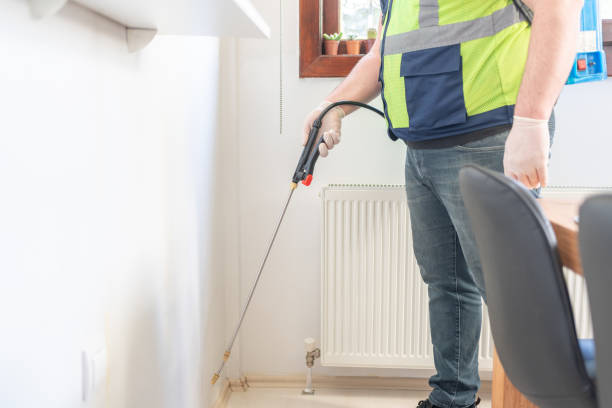 Best Wasp Removal Services  in Rancho Cumonga, CA
