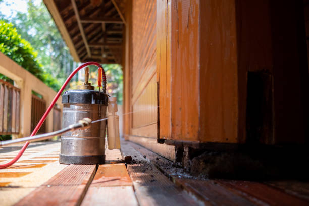 Best Insect Control  in Rancho Cumonga, CA